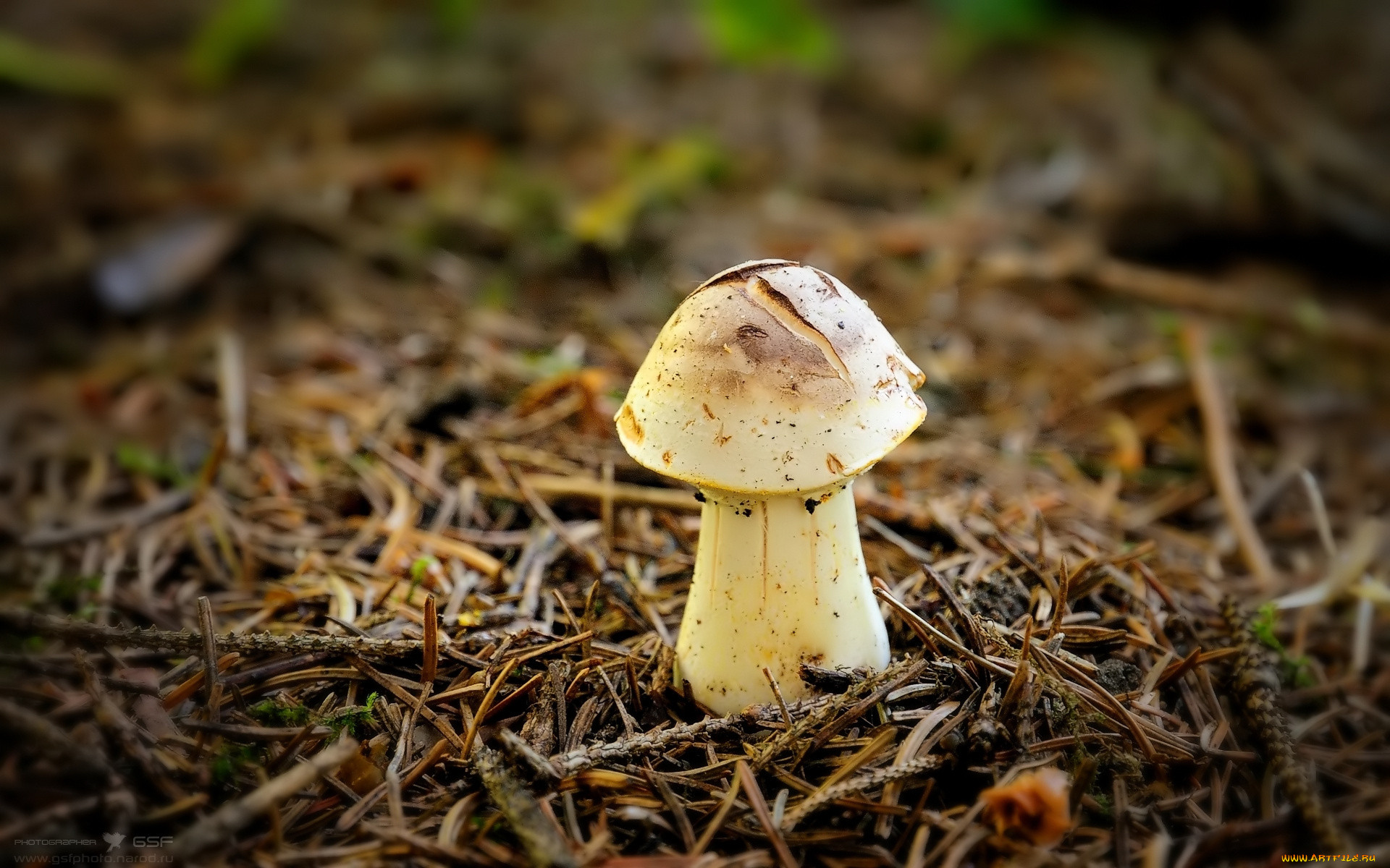 , , , 